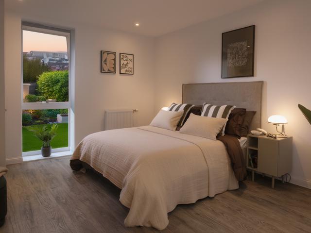 1 bedroom apartment to rent