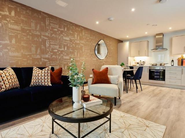 1 bedroom apartment to rent