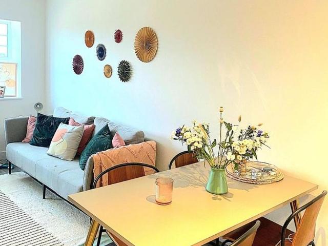 1 bedroom apartment to rent