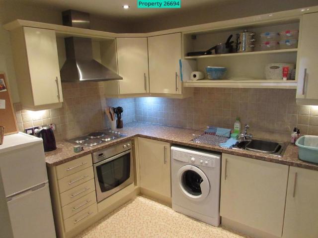 1 bedroom apartment to rent