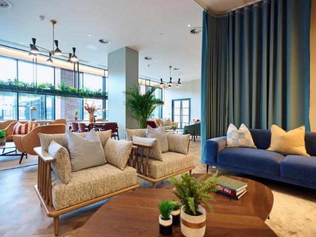 1 bedroom apartment to rent