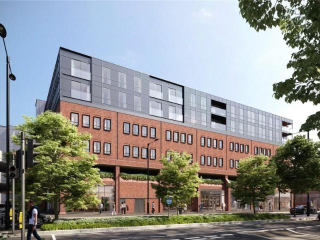 1 bedroom apartment to rent