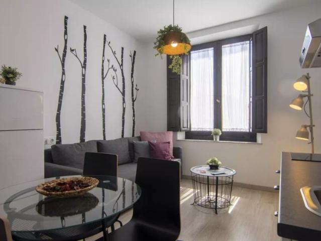 1 bedroom apartment to rent in Granada city centre!