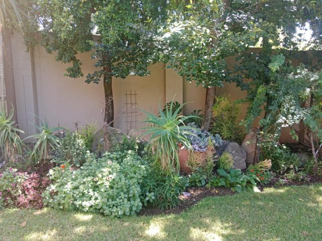 1 Bedroom Apartment to Rent in Edenburg