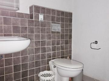 1 Bedroom apartment to rent in Menlo Park, Pretoria