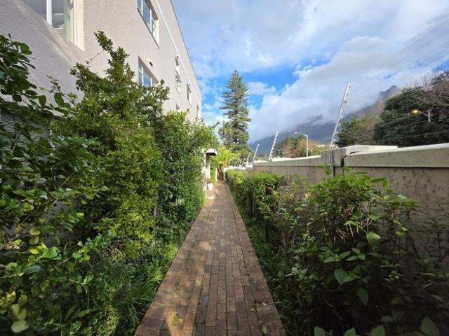 1 Bedroom apartment to rent in Rondebosch, Cape Town