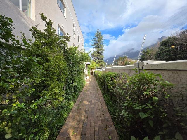 1 Bedroom apartment to rent in Rondebosch, Cape Town