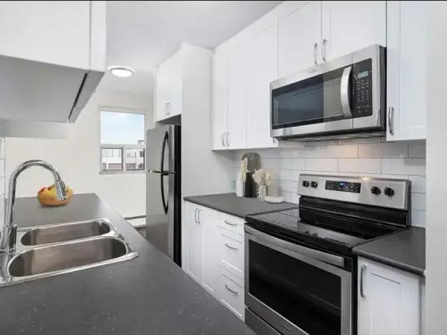 1 Bedroom Apartment Toronto ON 104782282