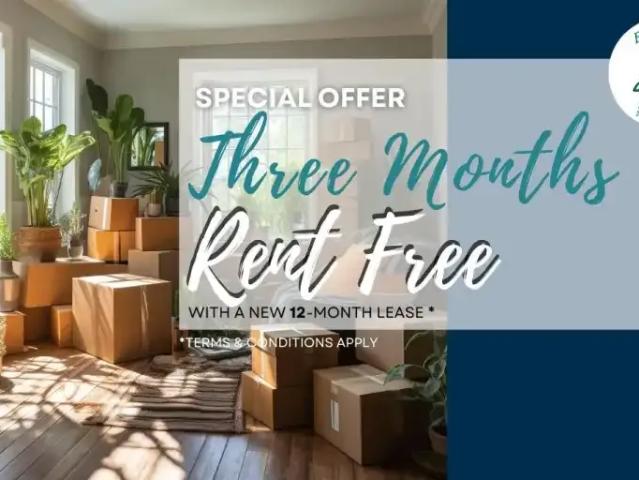 1 Bedroom Apartment Toronto ON 105394245