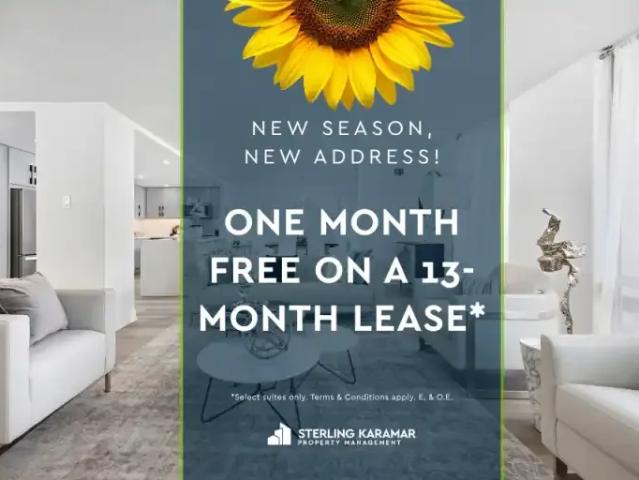 1 Bedroom Apartment Toronto ON 105525730