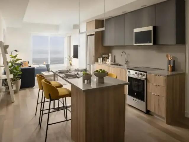 1 Bedroom Apartment Toronto ON 103243304