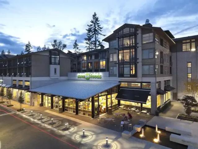 1 Bedroom Apartment Vancouver BC 103542133