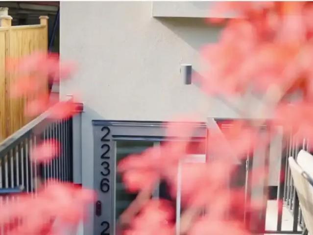 1 Bedroom Apartment Vancouver BC 104470972