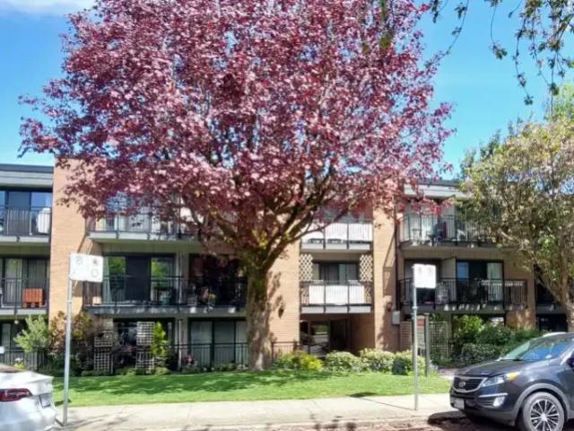 1 Bedroom Apartment Vancouver BC 105543074