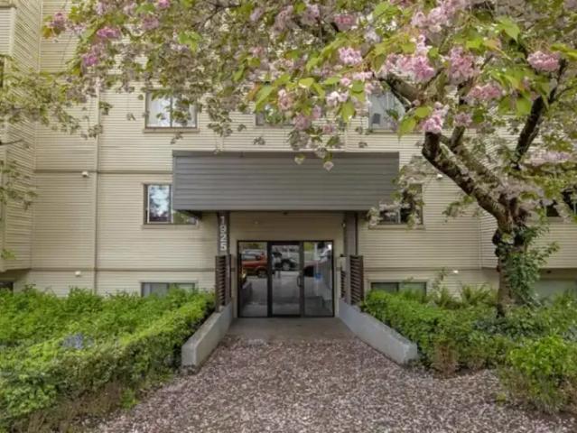 1 Bedroom Apartment Vancouver BC 105601583