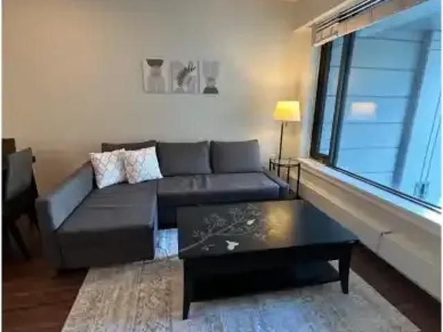 1 Bedroom Apartment Vancouver BC 105309460