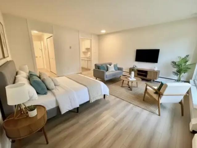 1 Bedroom Apartment Vancouver BC 105326641