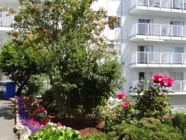 1 Bedroom Apartment Victoria BC 103410608