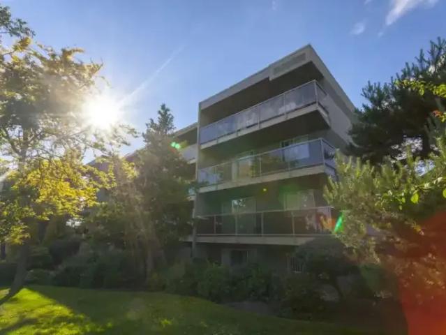 1 Bedroom Apartment Victoria BC 104752803