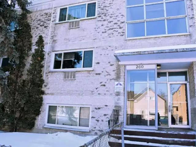 1 Bedroom Apartment Winnipeg MB 104875341