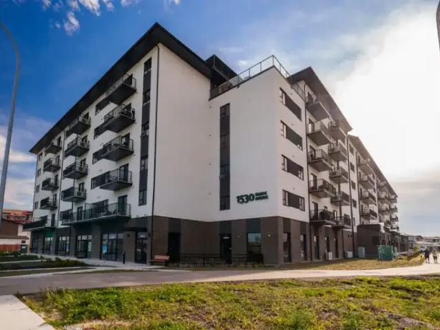 1 Bedroom Apartment Winnipeg MB 104940238