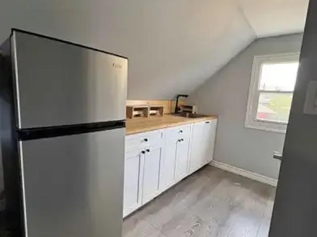 1 Bedroom Apartment Windsor ON 104106884