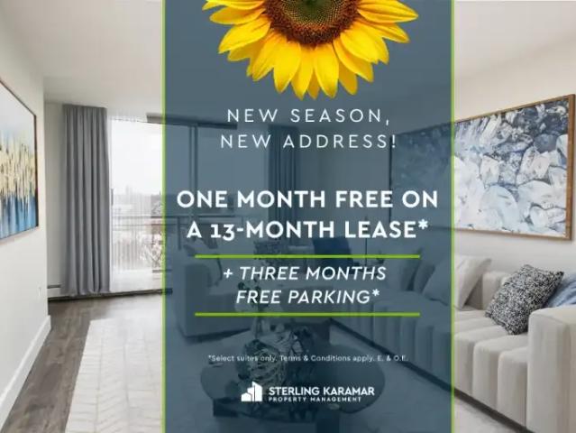 1 Bedroom Apartment Windsor ON 105358965