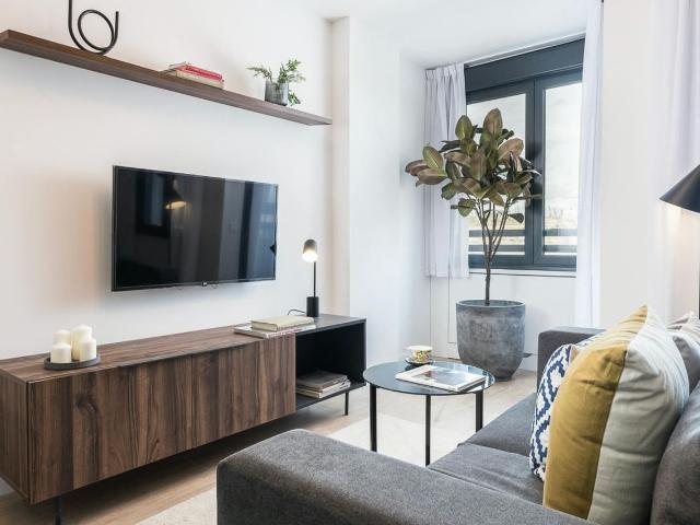 1 Bedroom Apartment with Pool in City Center, Madrid Amsterdam Apartments for Rent