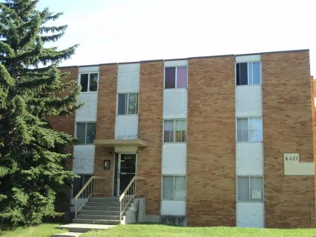1 Bedroom Apartment $1,300