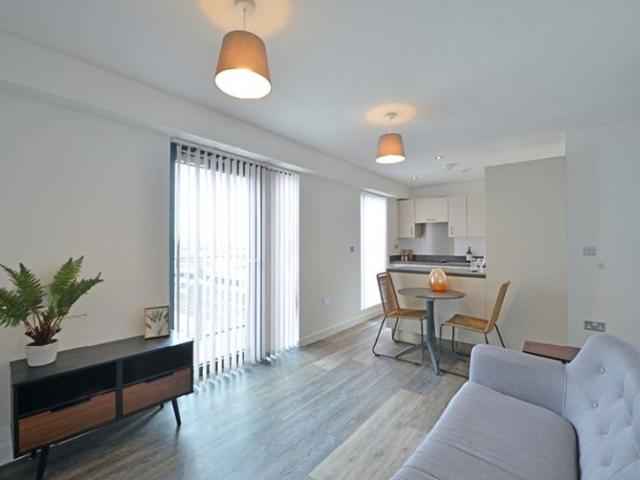 1 Bedroom Apartment 1