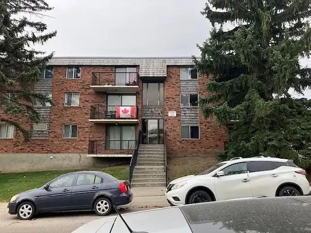 1 Bedroom Apartment — 1 Bedroom Apartment