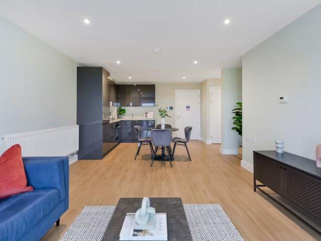 1 bedroom apartment