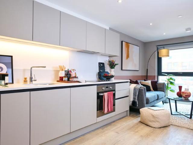 1 bedroom apartment