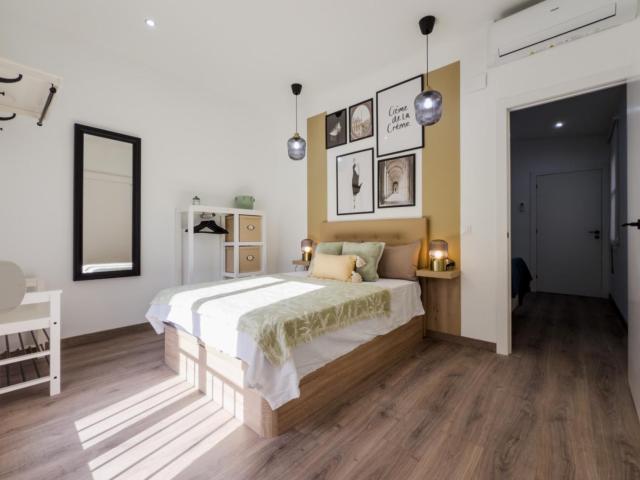 1 bedroom apartment
