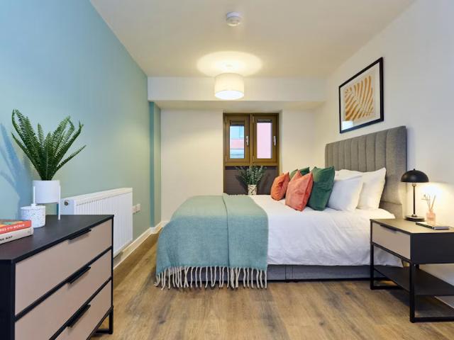 1 bedroom apartment