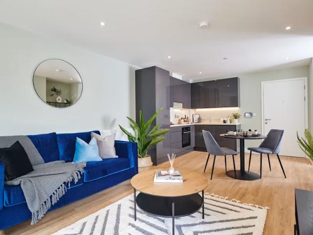 1 bedroom apartment