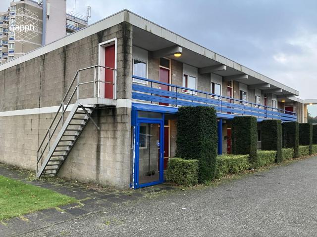 1 bedroom Appartement Surface Area: 55m2
