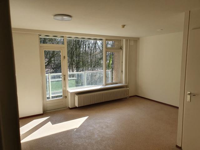 1 bedroom Appartement Surface Area: 50m2