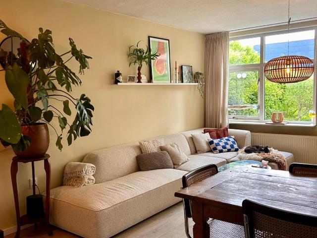 1 bedroom Appartement Surface Area: 60m2