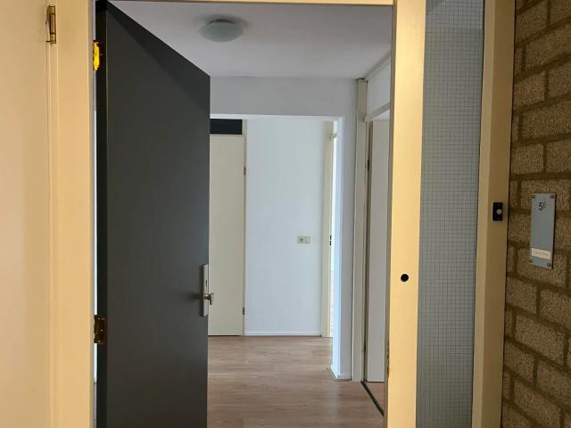 1 bedroom Appartement Surface Area: 95m2