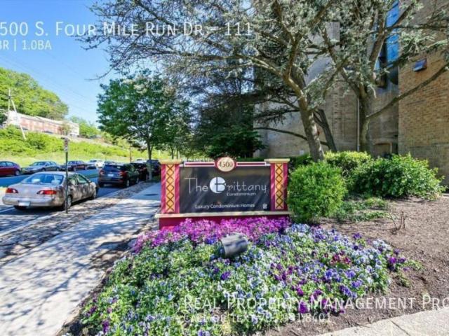1 bedroom, Arlington VA 22204 105372211