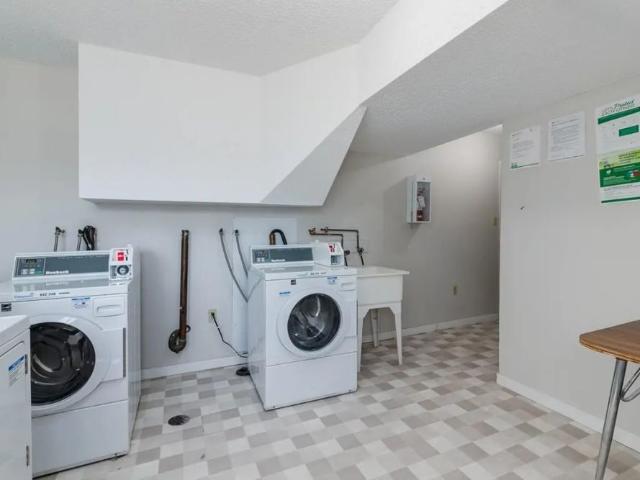 1 Bedroom at Cotton Wood Apartments