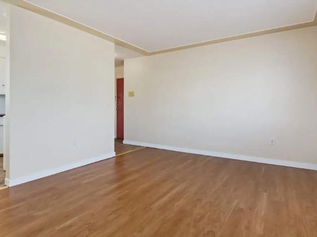 1 Bedroom at Chelsey Manor