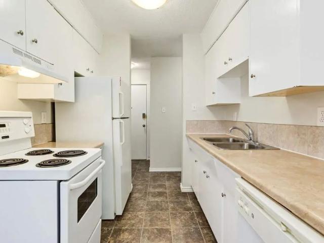 1 Bedroom at Nine and Five Apartments