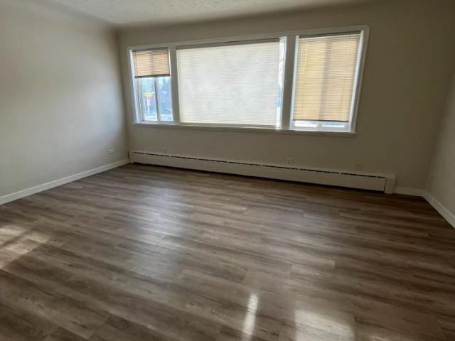 1 Bedroom at Skyview Apartments
