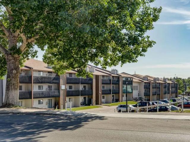 1 Bedroom at Reid Park Estates