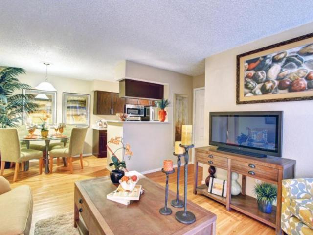 1 bedroom, Austin TX 78758 100484992