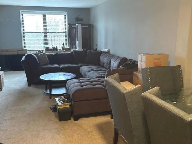 1 bedroom, Bayside NY 11364 72692167