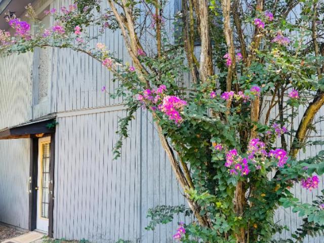 1 bedroom, Big Sandy TX 75755 LS105844263