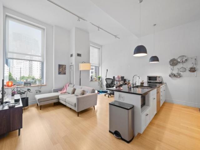 1 bedroom, Brooklyn NY 11201 105609263